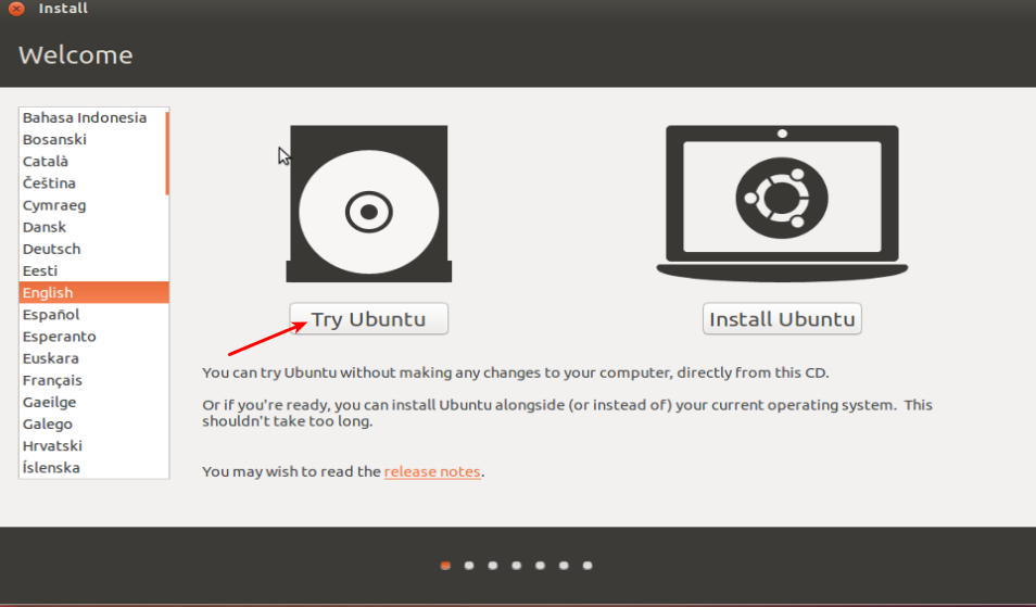 Ubuntu live boot
