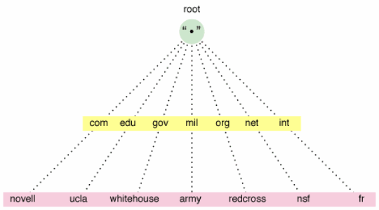 DNS network