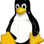 Top Linux Distributions in 2023: A Comprehensive Guide